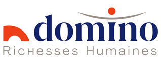 domino interim logo