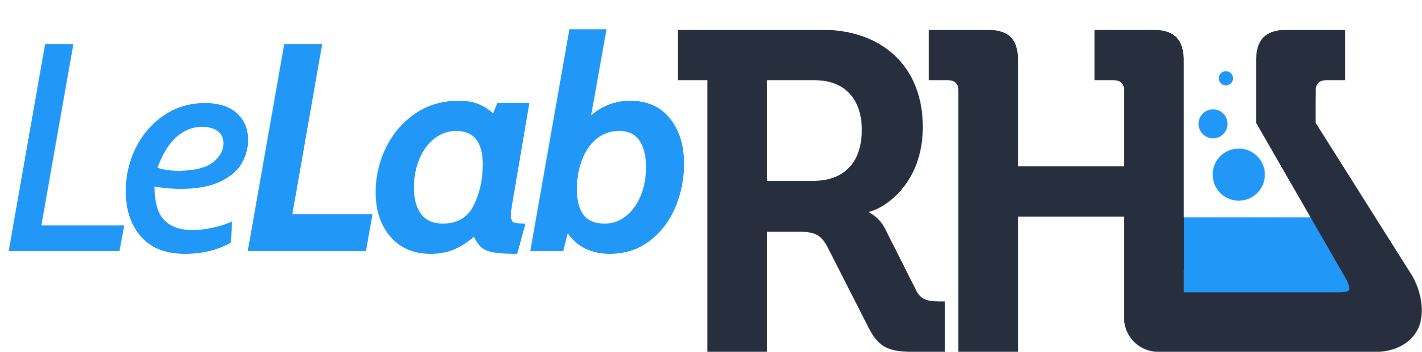 Logo Partner FR Le Lab RH