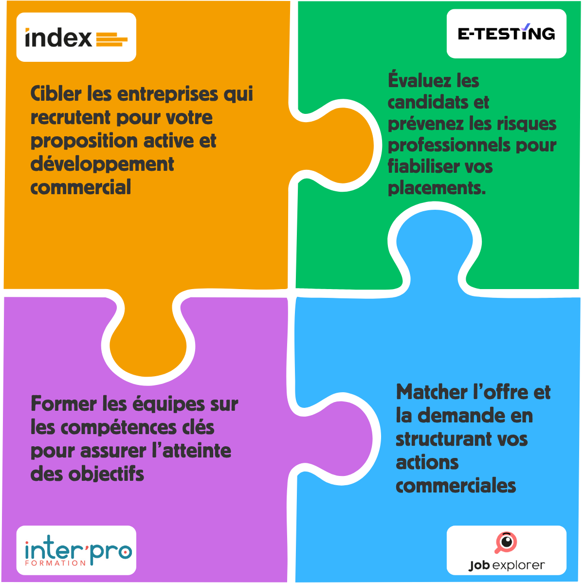 Puzzle-Site Puzzle